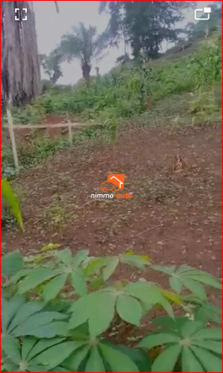 TERRAIN A VENDRE A NKOZOA