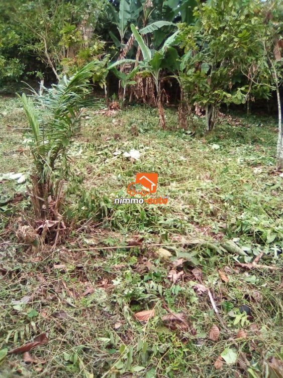 TERRAIN A VENDRE A AYENE
