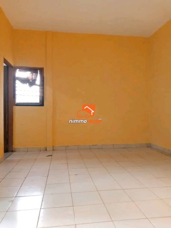 vaste appartement moderne à louer à nkolbison