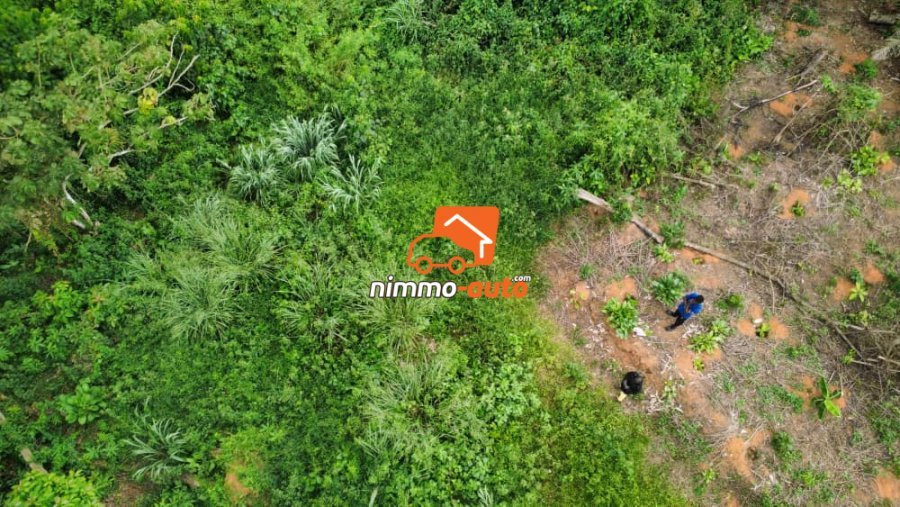 terrain d'habitation a vendre à eyang
