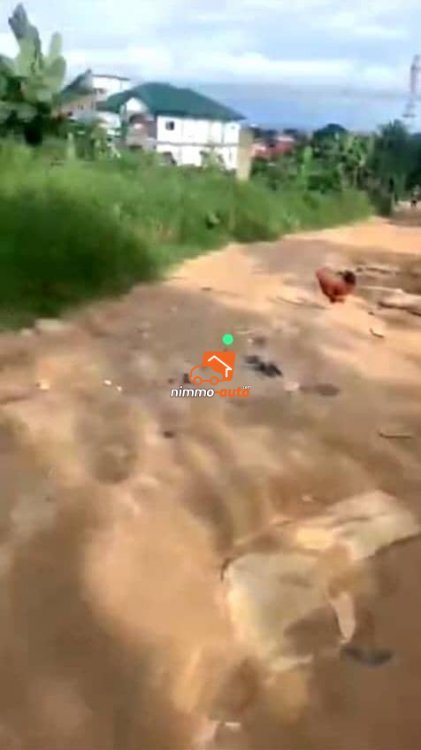 magnifique terrain à vendre à pk13