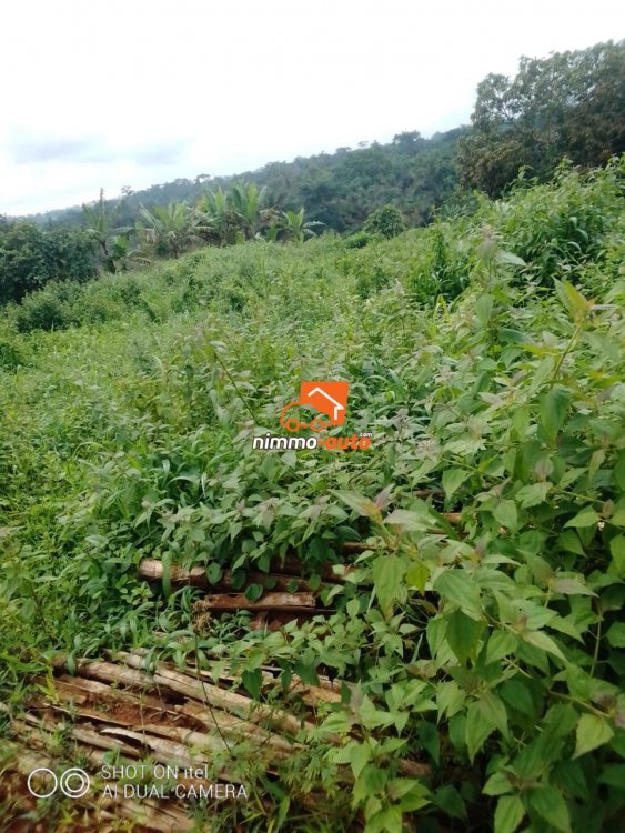 terrain  à vendre à soa en bordure de route