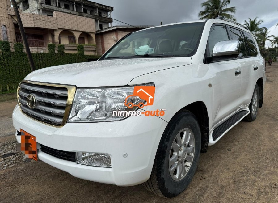 Toyota LandCruiser 2010