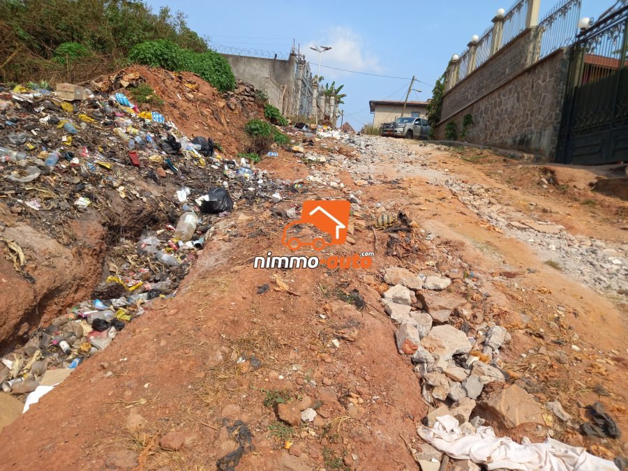 Terrain titré à vendre au quartier Messamedongo