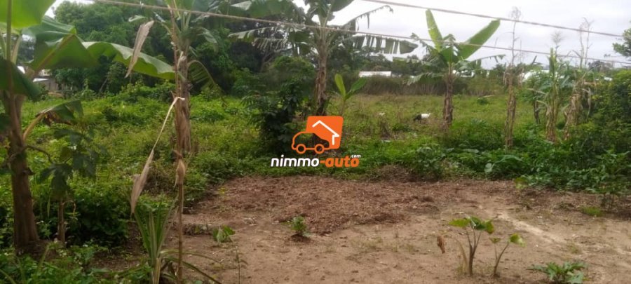 200m² de Terrain non Titré à vendre à Odza