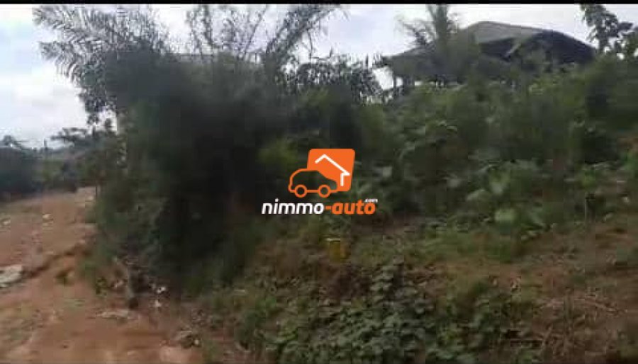 terrain à vendre à lendi