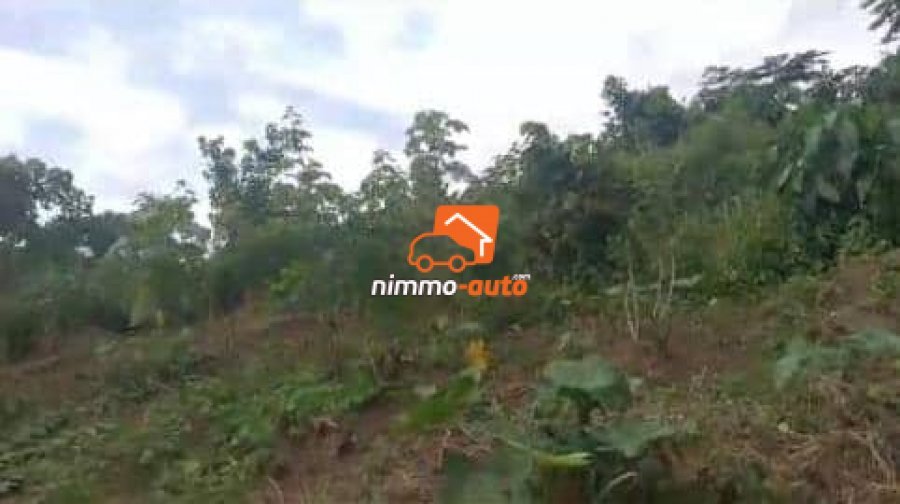 terrain à vendre à lendi