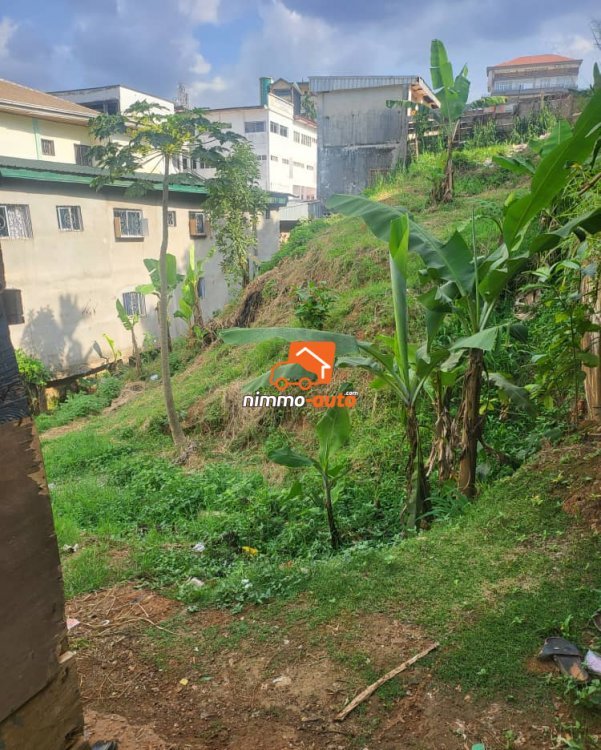 Terrain d'habitation à vendre à  bastos