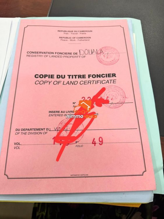 terrain sec et plat  à vendre  à yassa