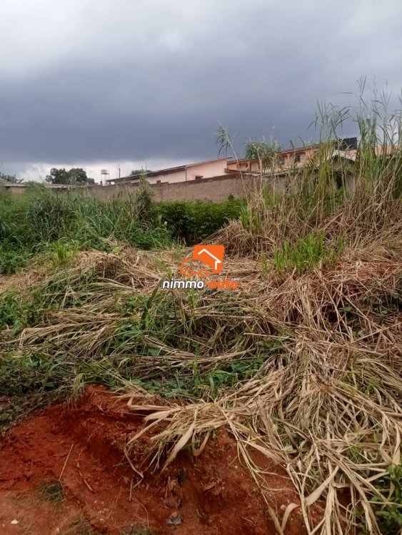 terrain titré à vendre Yaoundé
