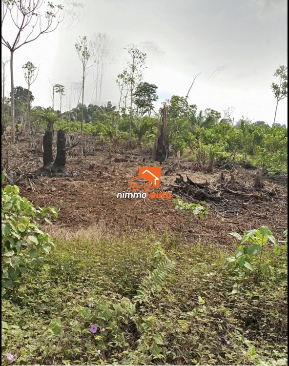 Terrain à vendre à Yassa