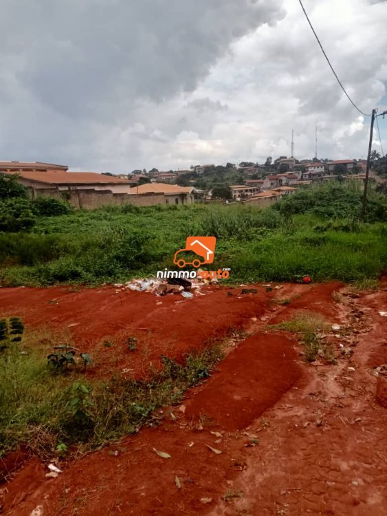 Terrain titré ODZA