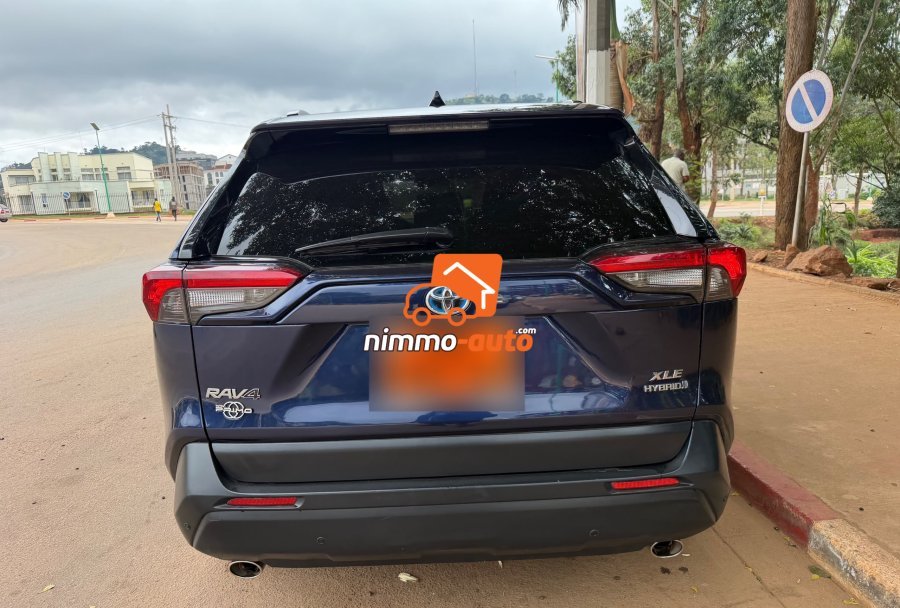 TOYOTA RAV4 2020 HYBRIDE