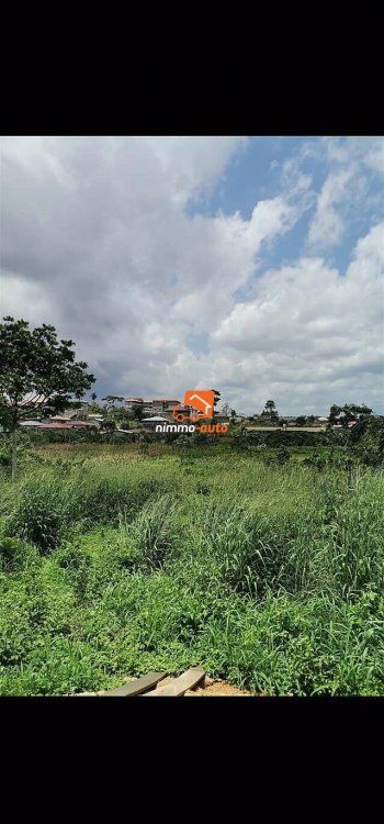 Terrain a vendre a nkolnda odza lieu dit mbeloa