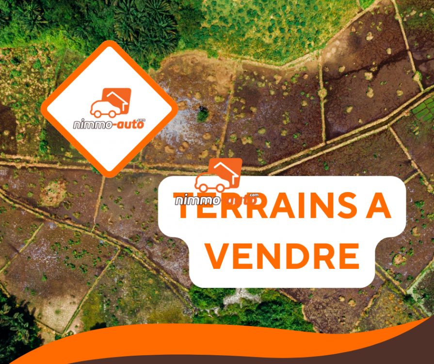 terrain titré et loti à vendre à nkoabang