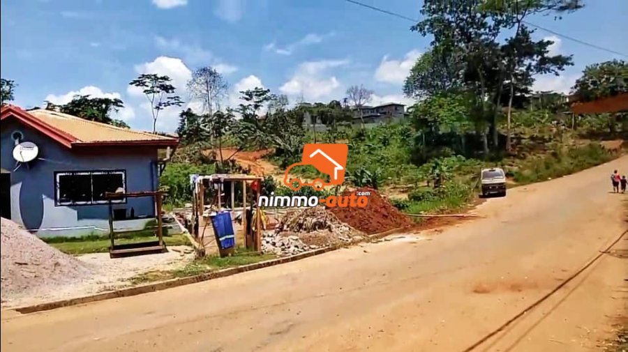 Terrain titré a vendre a nkolfoulou 1