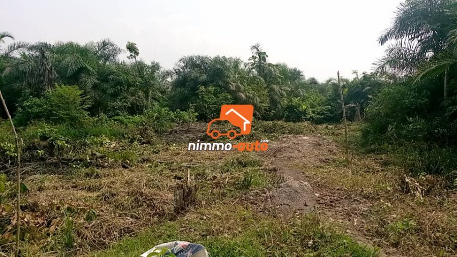 Terrain titré à vendre à Douala Bonaberi