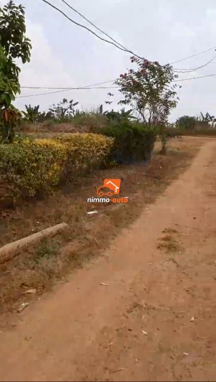 Terrain titré à vendre à Odza fecafoot