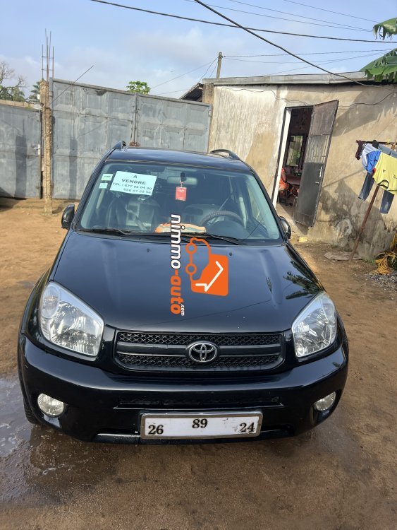 Toyota RAV4 2004