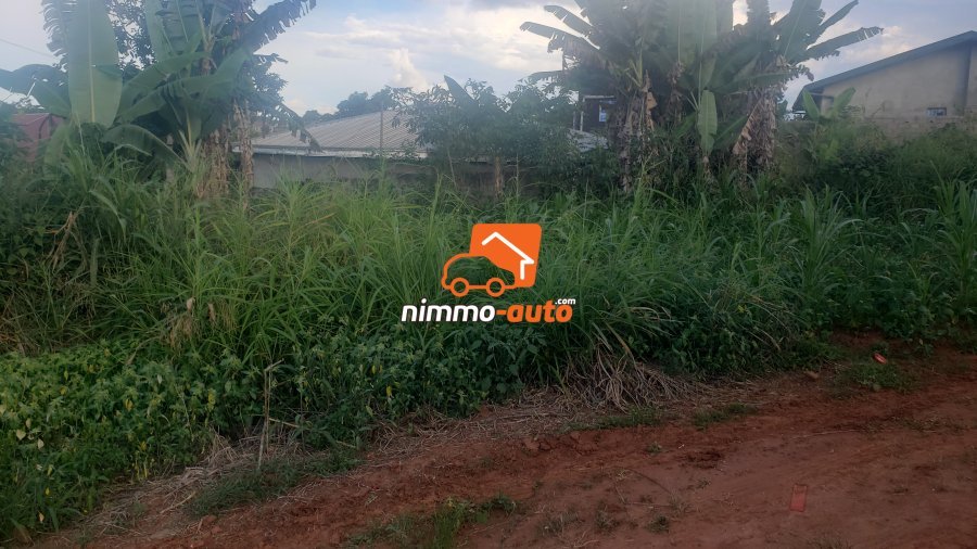 Terrain a vendre a Yaounde lieu Dit NYOM petit marcher