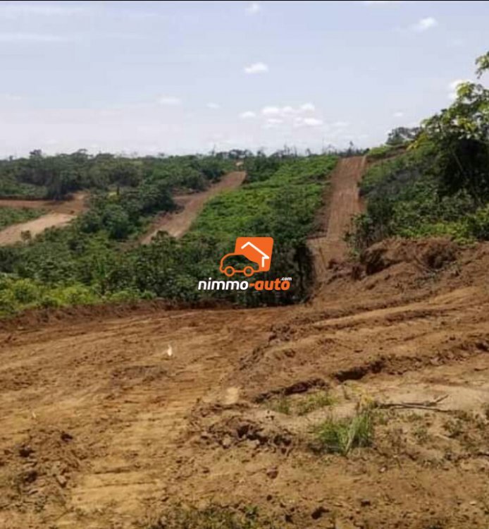 Terrain à vendre a lundi ngombe