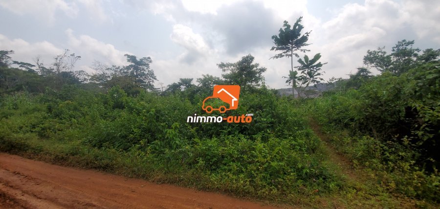 Terrain à vendre à Mbankomo