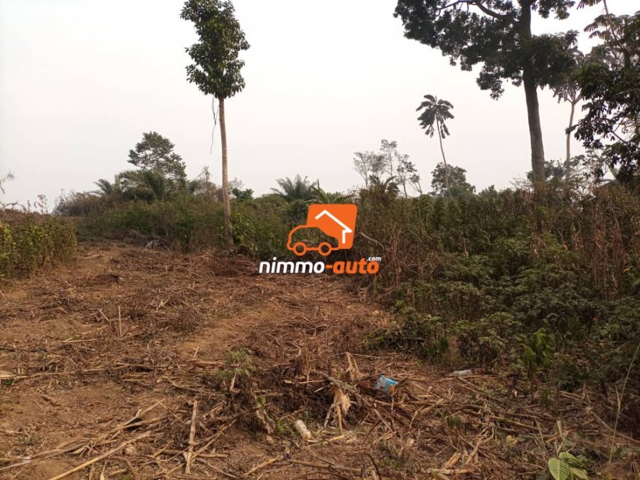 Terrain nkolnda