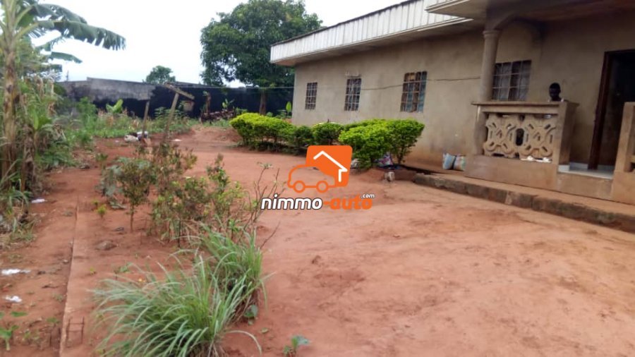 maison a vendre quartier nkoabang