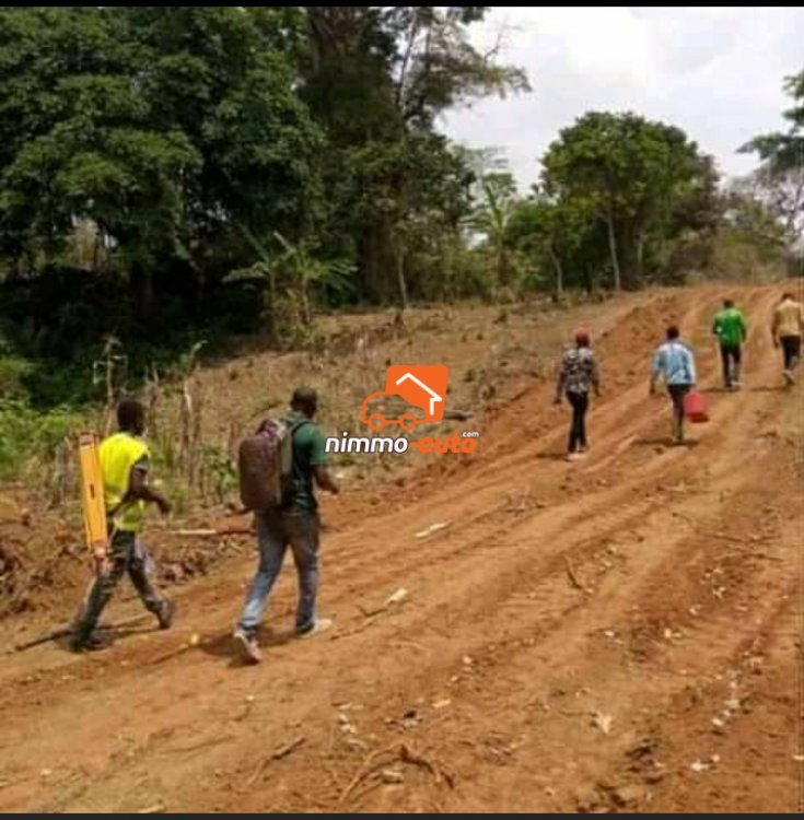 Terrain a vendre a mbankomo entrée Péage