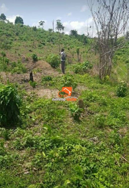 Terrain à vendre à PK 18