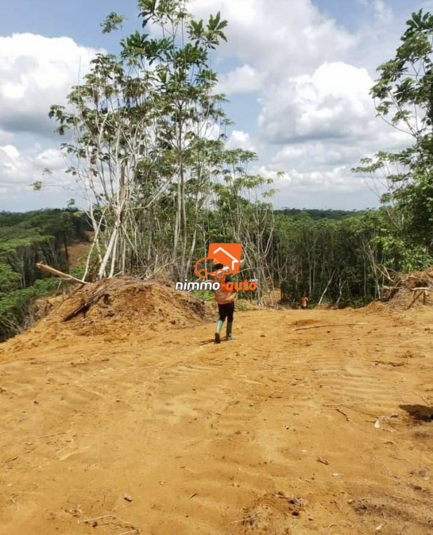 KENDEK (après le pont sur la DIBAMBA en venant de YASSA DOUALA )