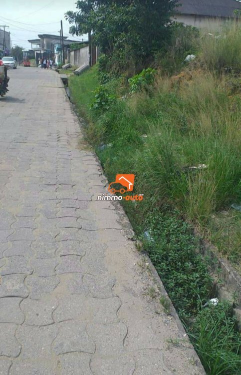 Terrain à vendre Bonabéri mairie Douala 4e