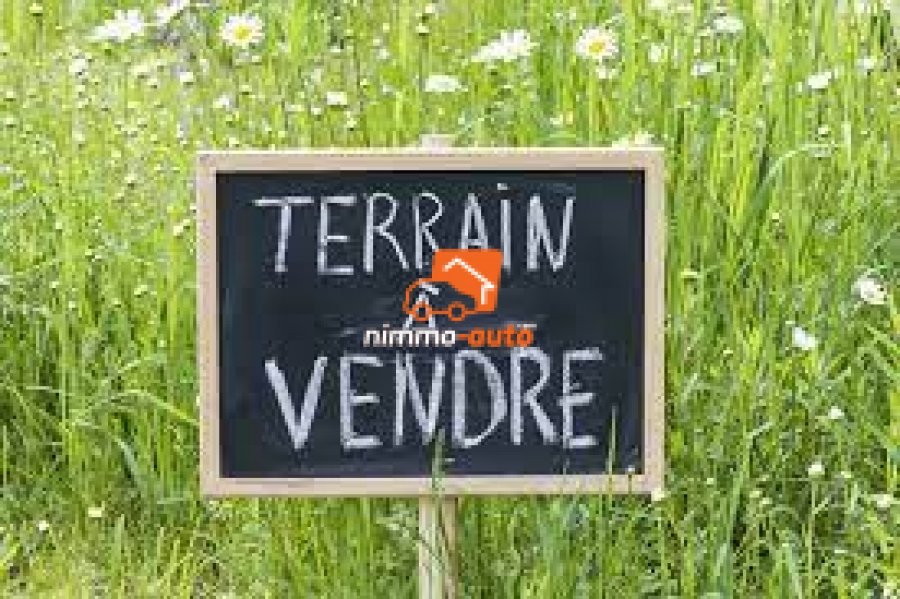 Terrain titré à vendre à derrière Nsimalen (Bene-balot)