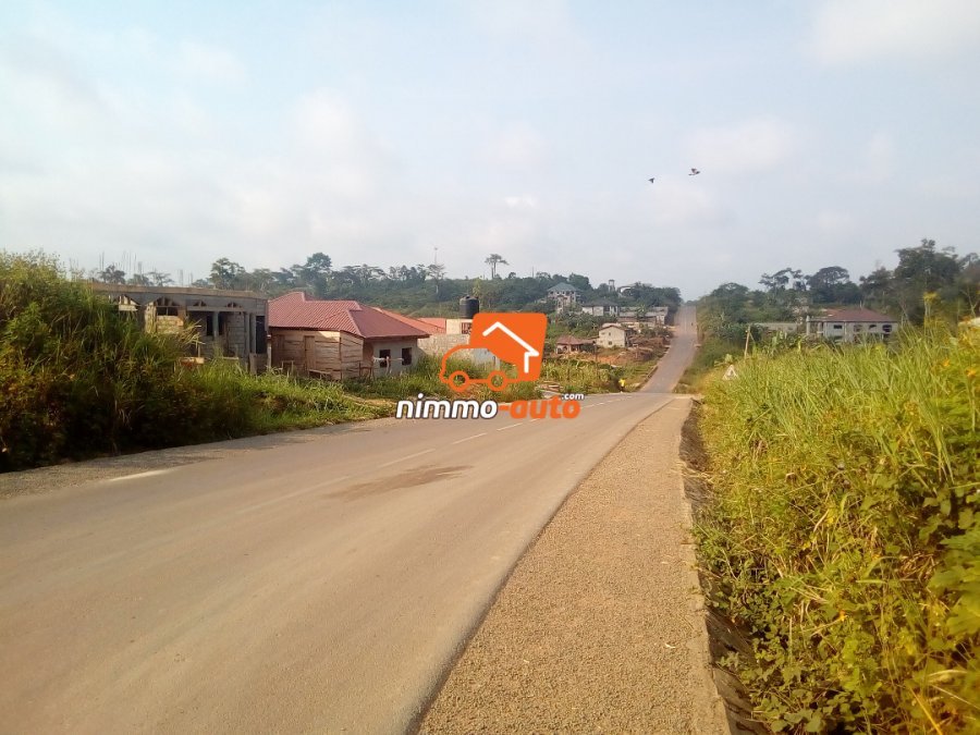 Terrain titré moins cher à vendre à Nkolnda