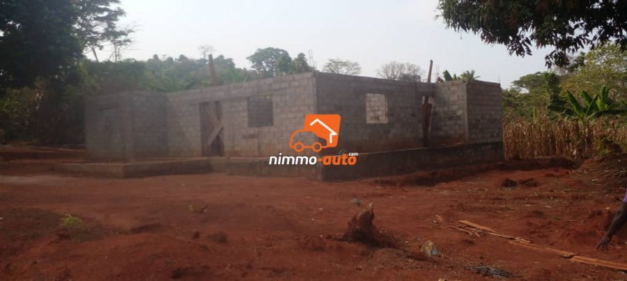 Terrain titré moins cher à vendre à Yaoundé Yegue-Assi