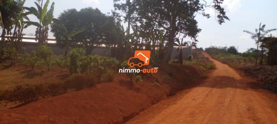 Terrain titré moins chèr à vendre à Yaoundé YEGUE-ASSI