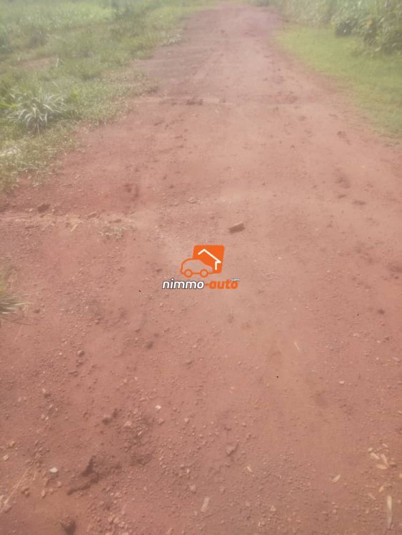 Terrain à vendre à l'auto-route Yaoundé Nsimalen