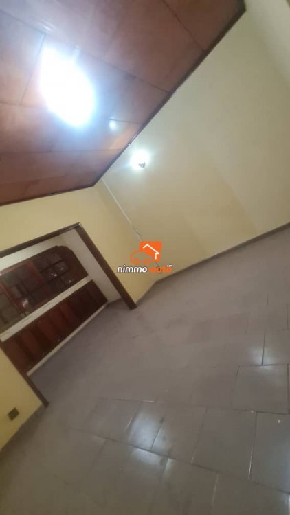 Appartement moderne individuel à louer à Nsimeyong Shell