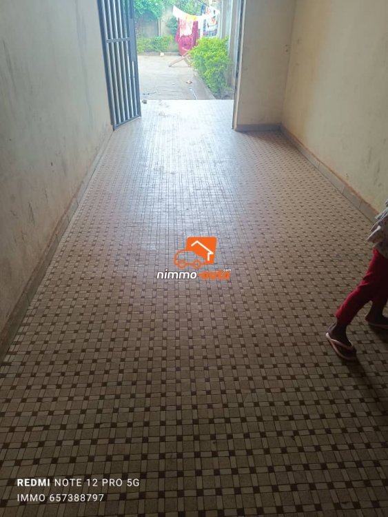 Appartement bien spacieux à louer à Nkolbisson