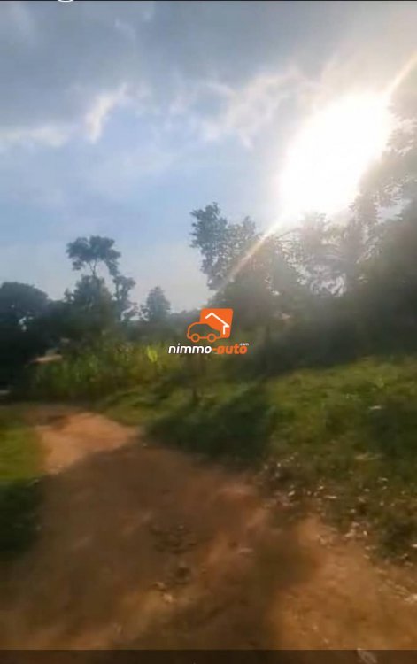 Terrain Titré de 3000m² à vendre à Odza