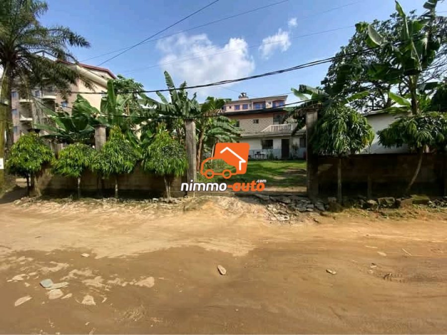 Terrain Titré de 450m² à vendre à Kotto, Douala