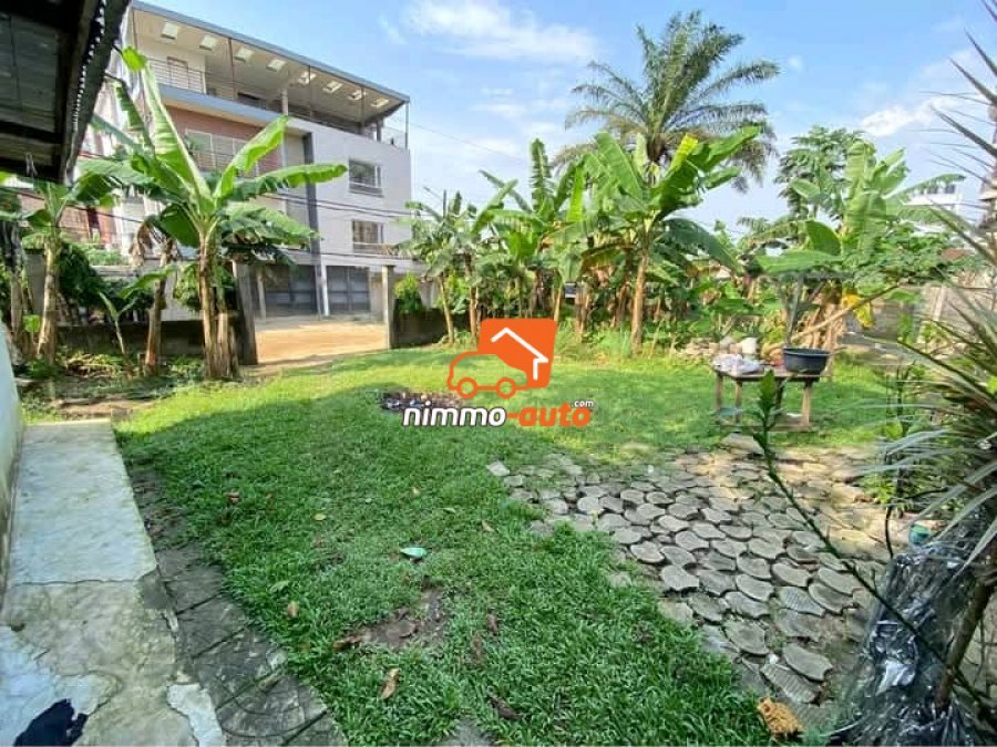 Terrain Titré de 450m² à vendre à Kotto, Douala