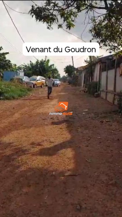 02 Lots de Terrain Titré Jumelé en 1200m² à vendre à Mvan