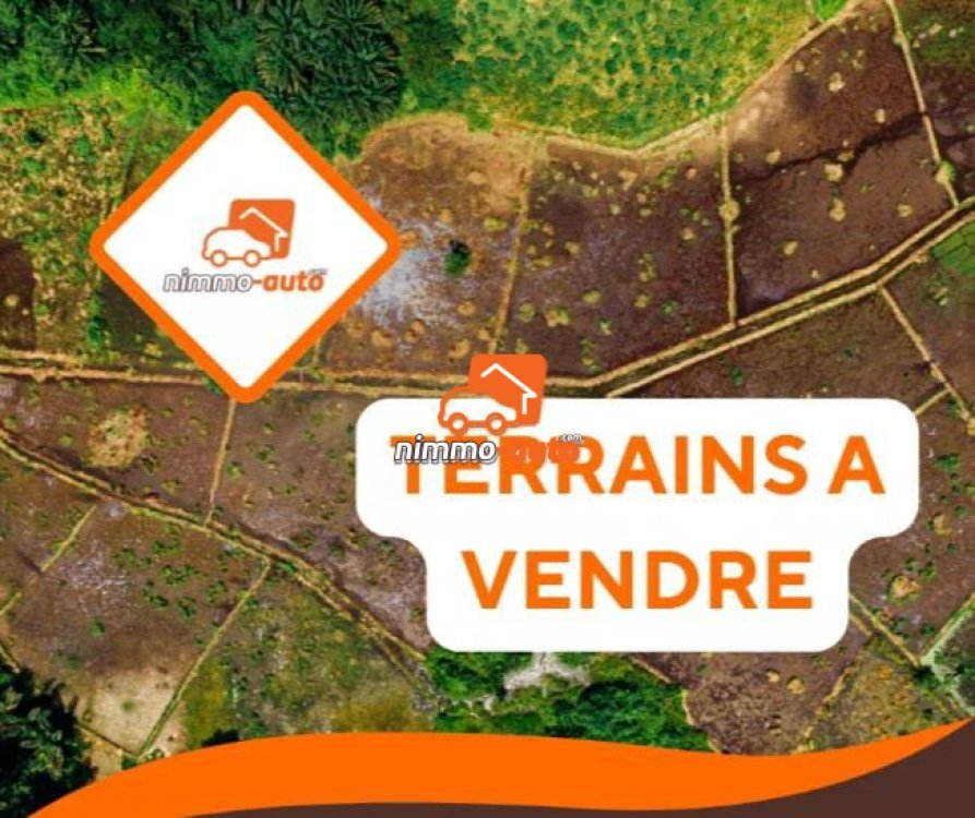TERRAIN  A VENDRE  A DOUALA  Yassa yatchika