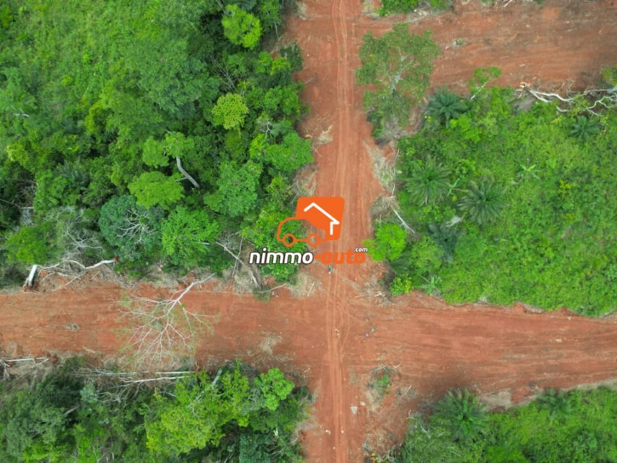 magnifique terrain à vendre à yemsoum par tradex nsimalen