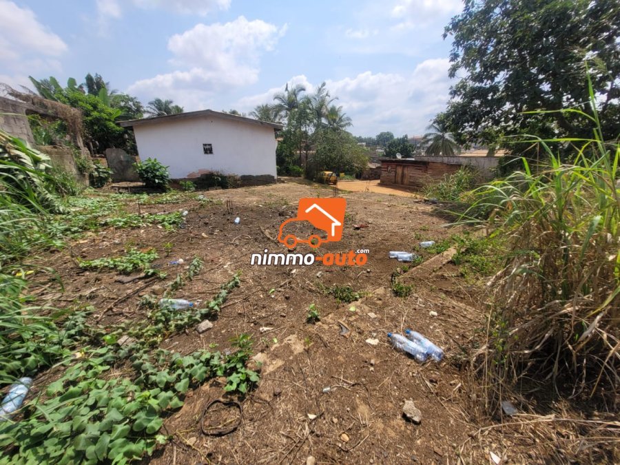 Magnifique Opportunité d'un Terrain Titré de 500m² à vendre à Odza