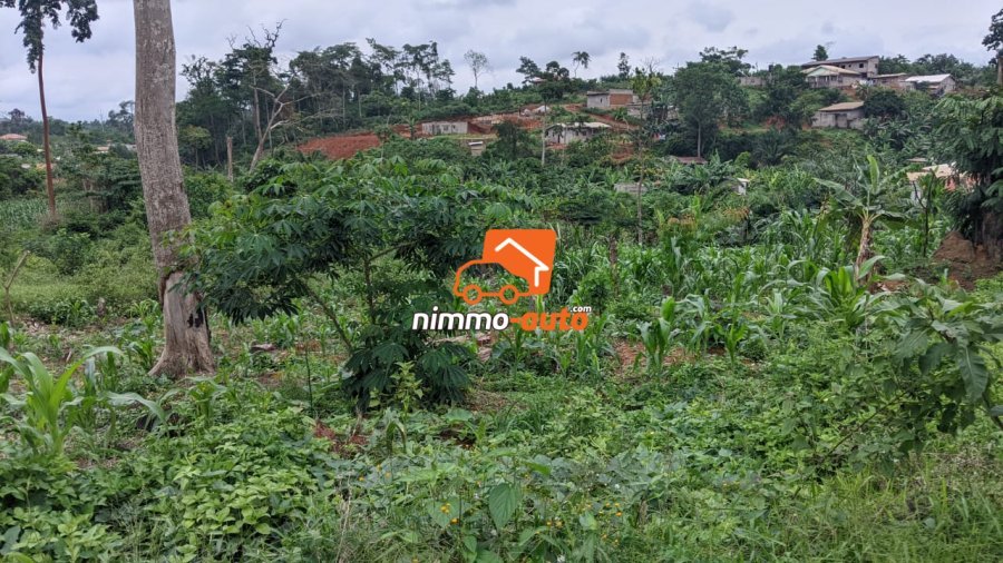 TERRAIN A VENDRE A NKOABANG