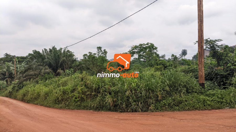 TERRAIN A VENDRE A NKOABANG