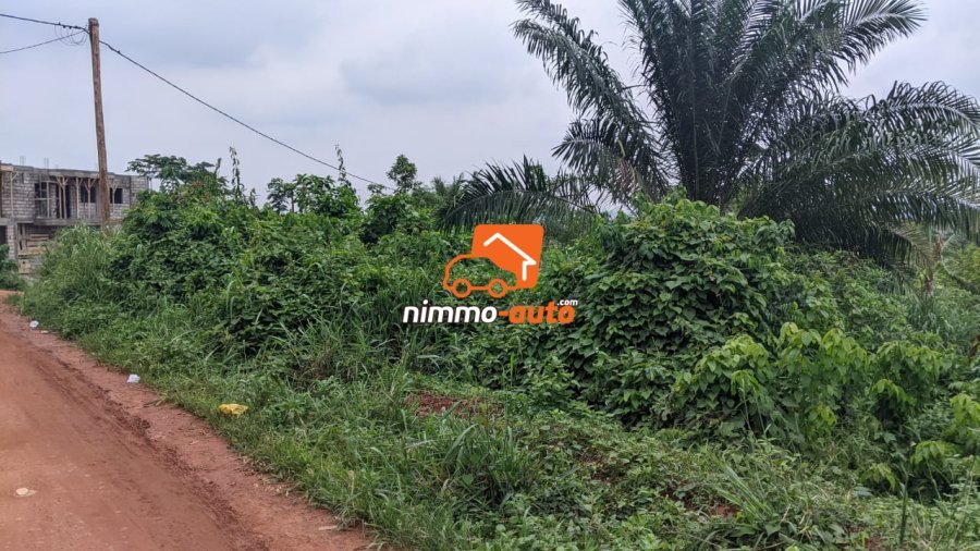 TERRAIN A VENDRE A NKOABANG