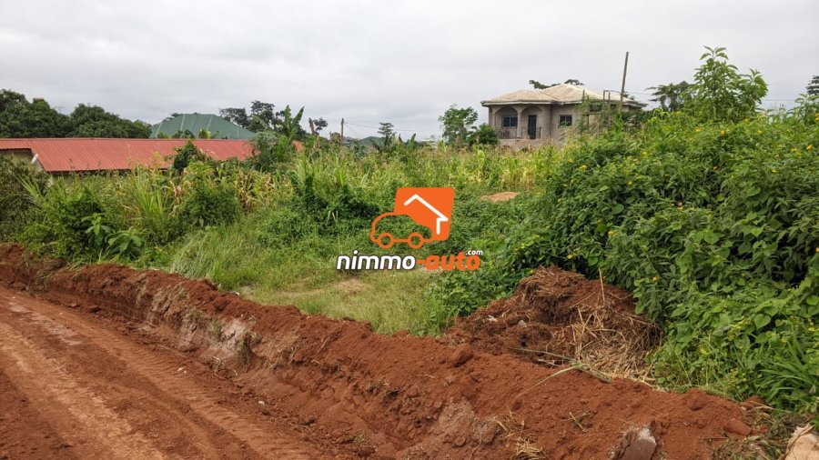 Terrain a vendre a nyom venant du petit marché nyom pour EDIMI NVOMO